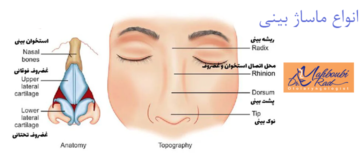 انواع ماساژ بینی 